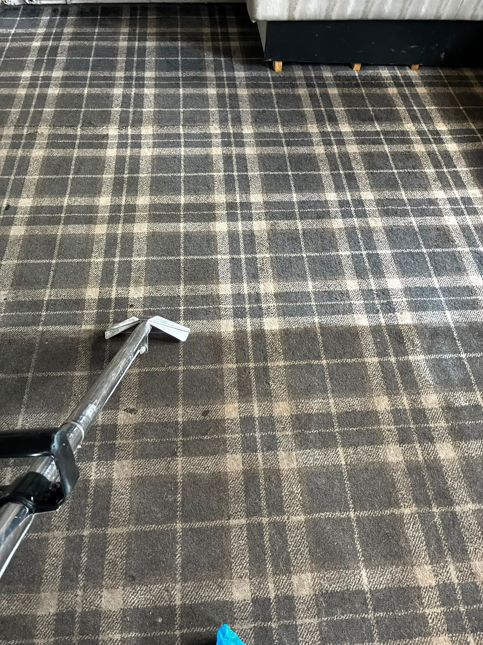 Chelsea Pet Stain Removal