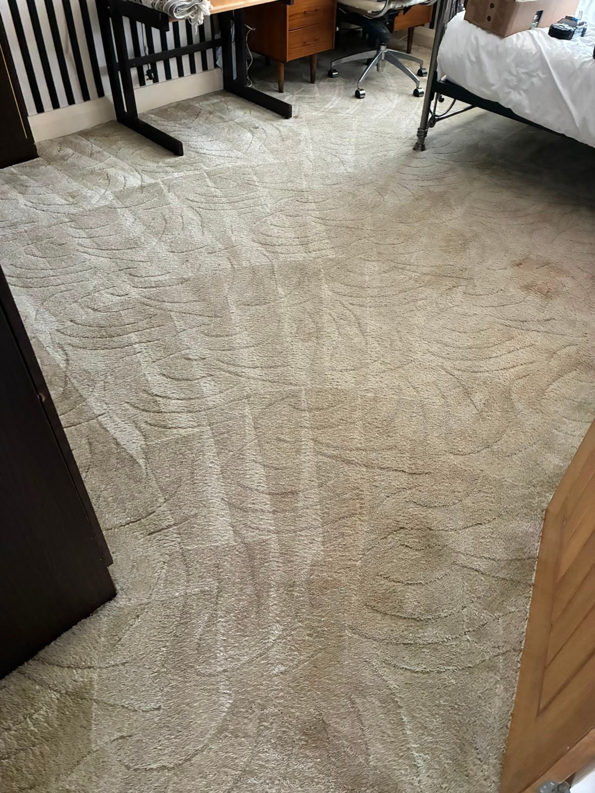 Hot Water Extraction Carpet Clean