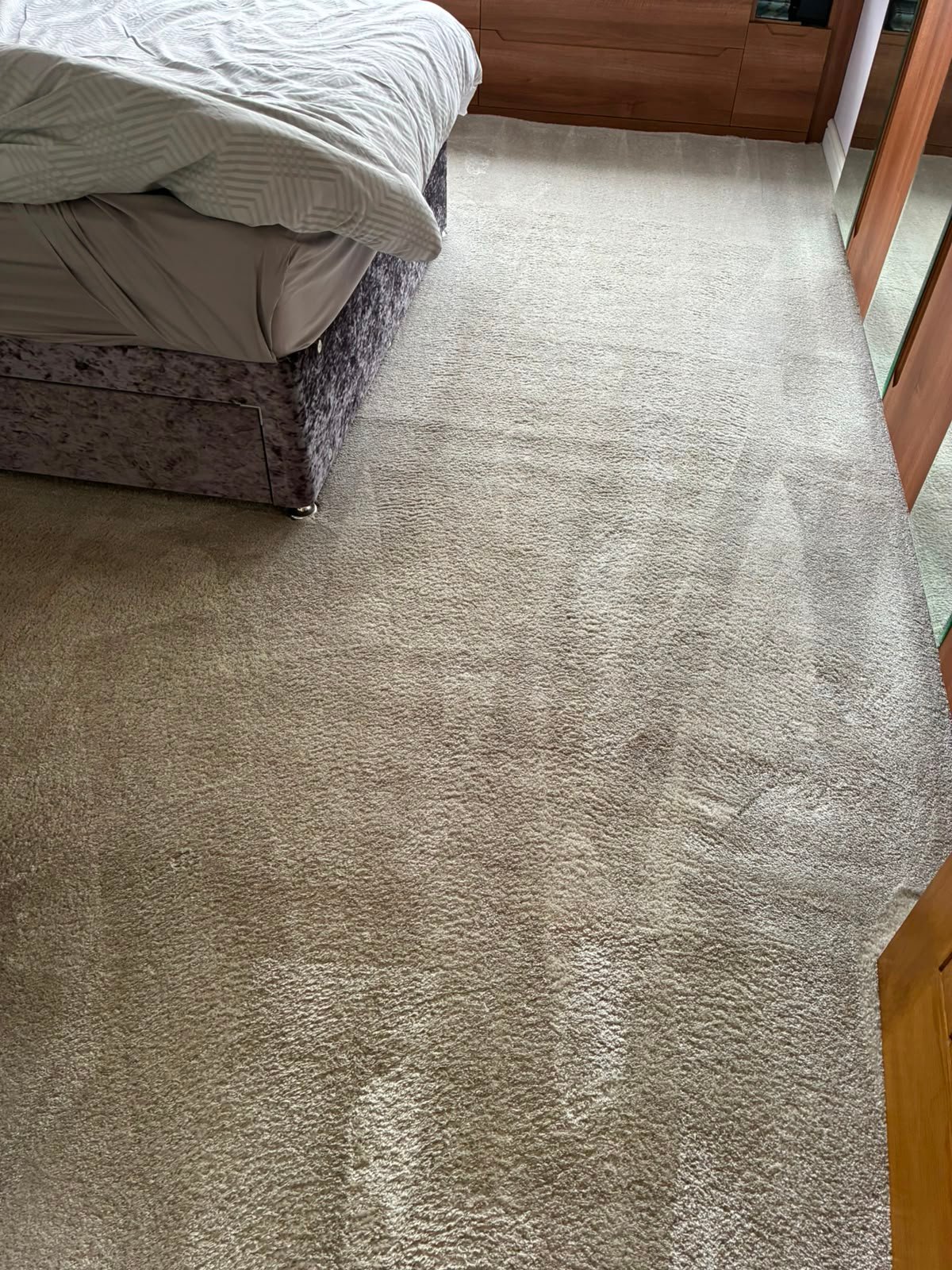 Upholstery & Sofa Deep Clean