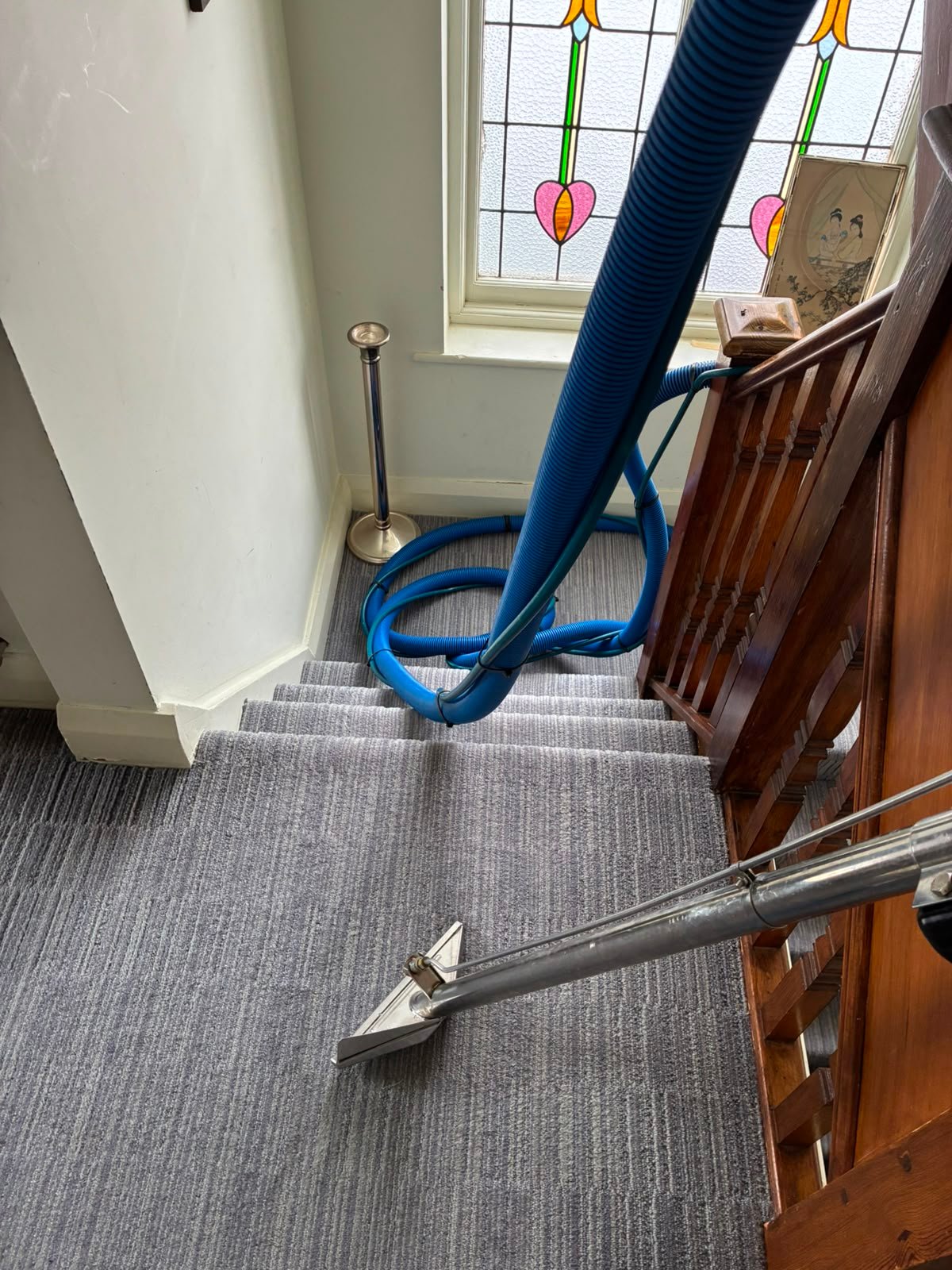 Tough Stain & Pet Odour Removal