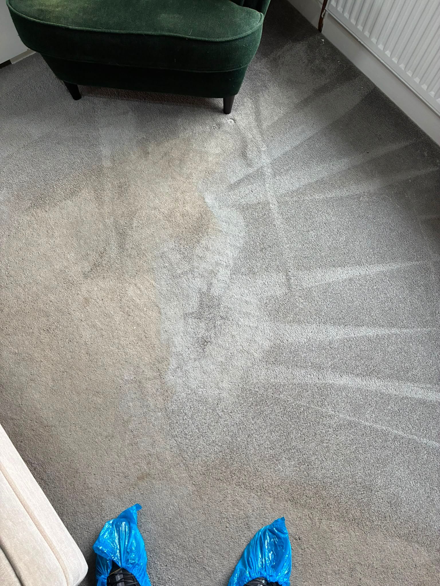 Commercial Office Carpet Cleaning